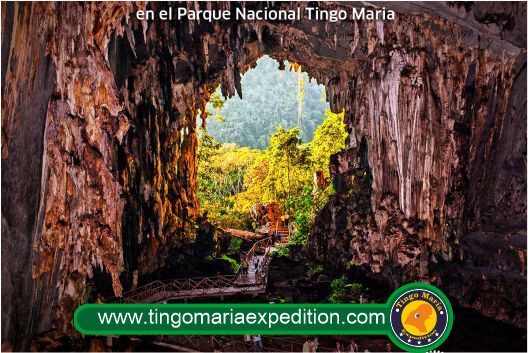 Parque Nacional de Tingo María